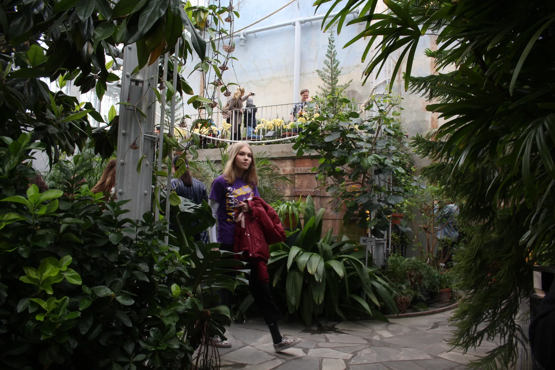 Leveraging CCTV to boost profits and protect staff in the garden centre sector